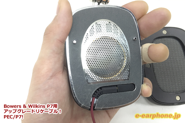 PECP7 03