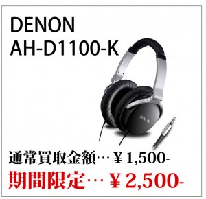 d1100