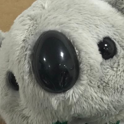 エリーナのアバター