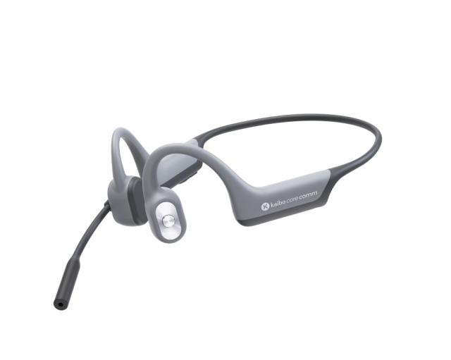 Kaibo Audio Kaibo Core comm